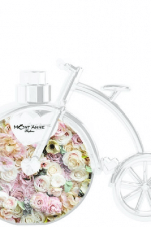 image-372.png image-372.png